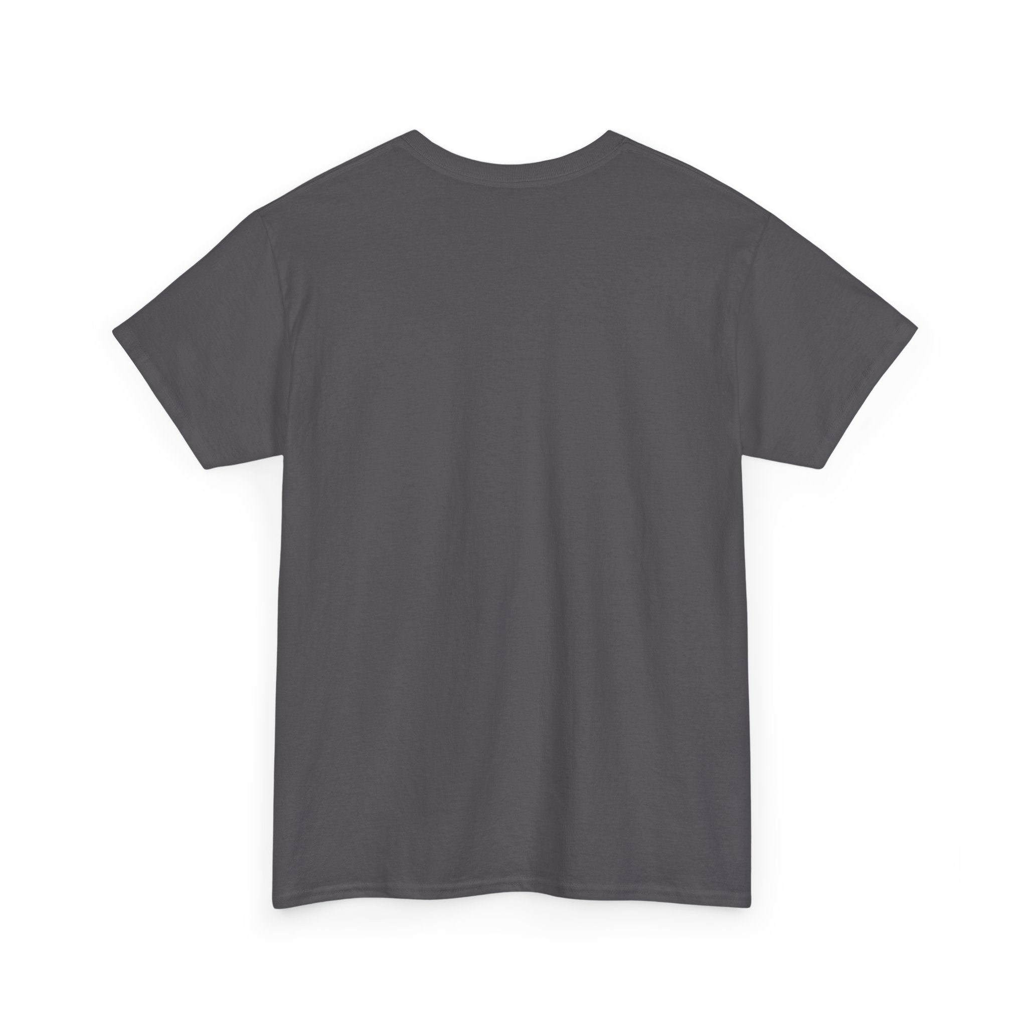 Off His Meds Jester Tee — Wild & Unhinged Sarcasm Culture Graphic T-Shirt