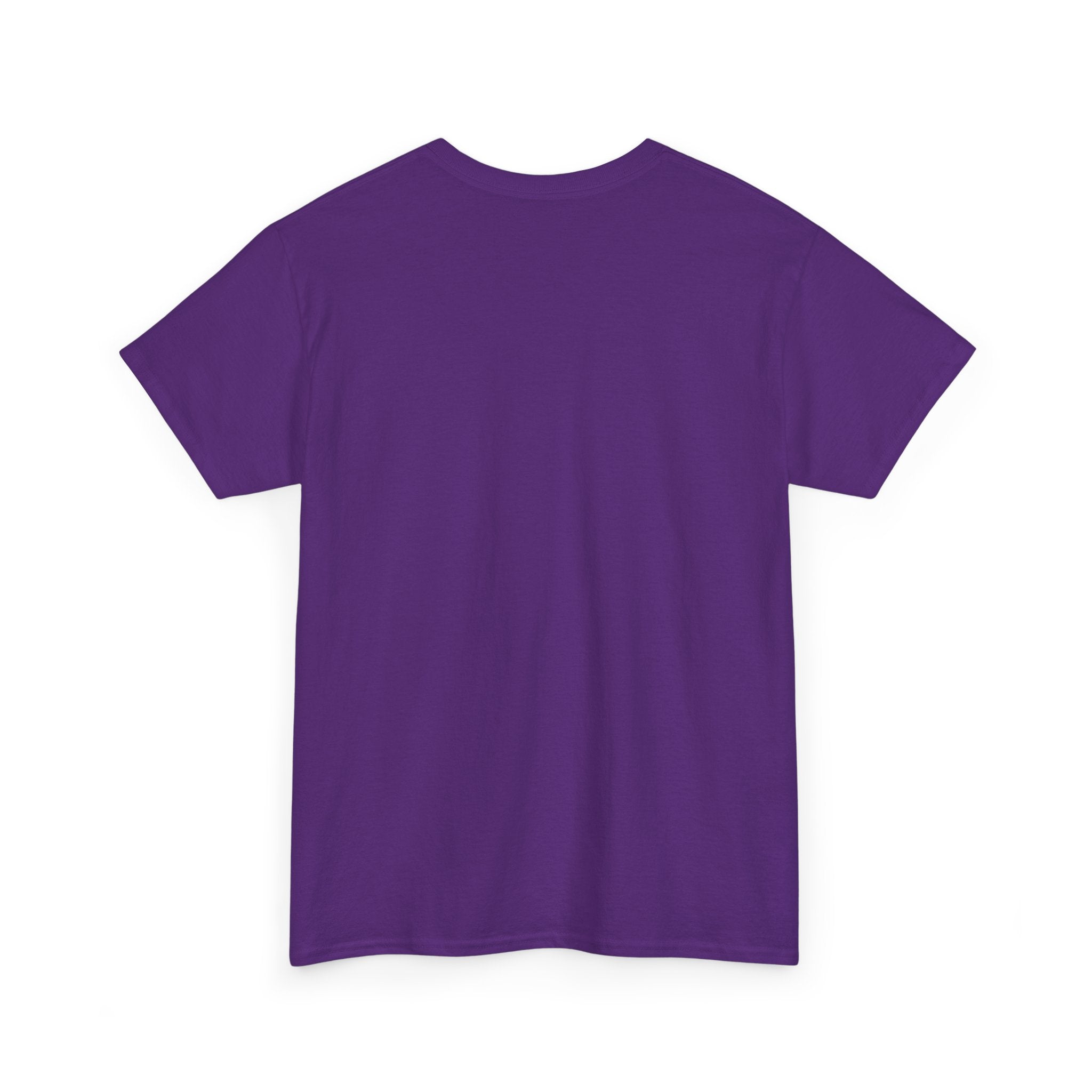 Off His Meds Jester Tee — Wild & Unhinged Sarcasm Culture Graphic T-Shirt