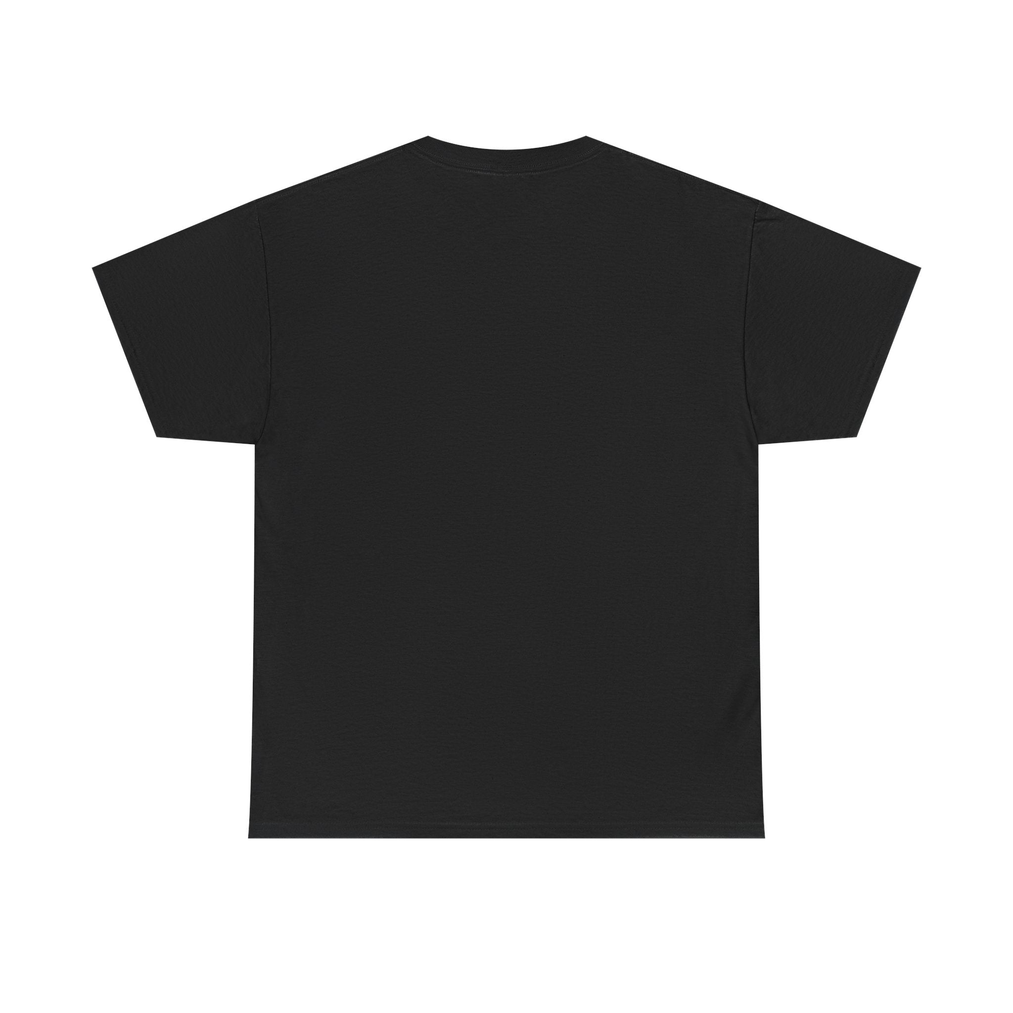 Off His Meds Jester Tee — Wild & Unhinged Sarcasm Culture Graphic T-Shirt