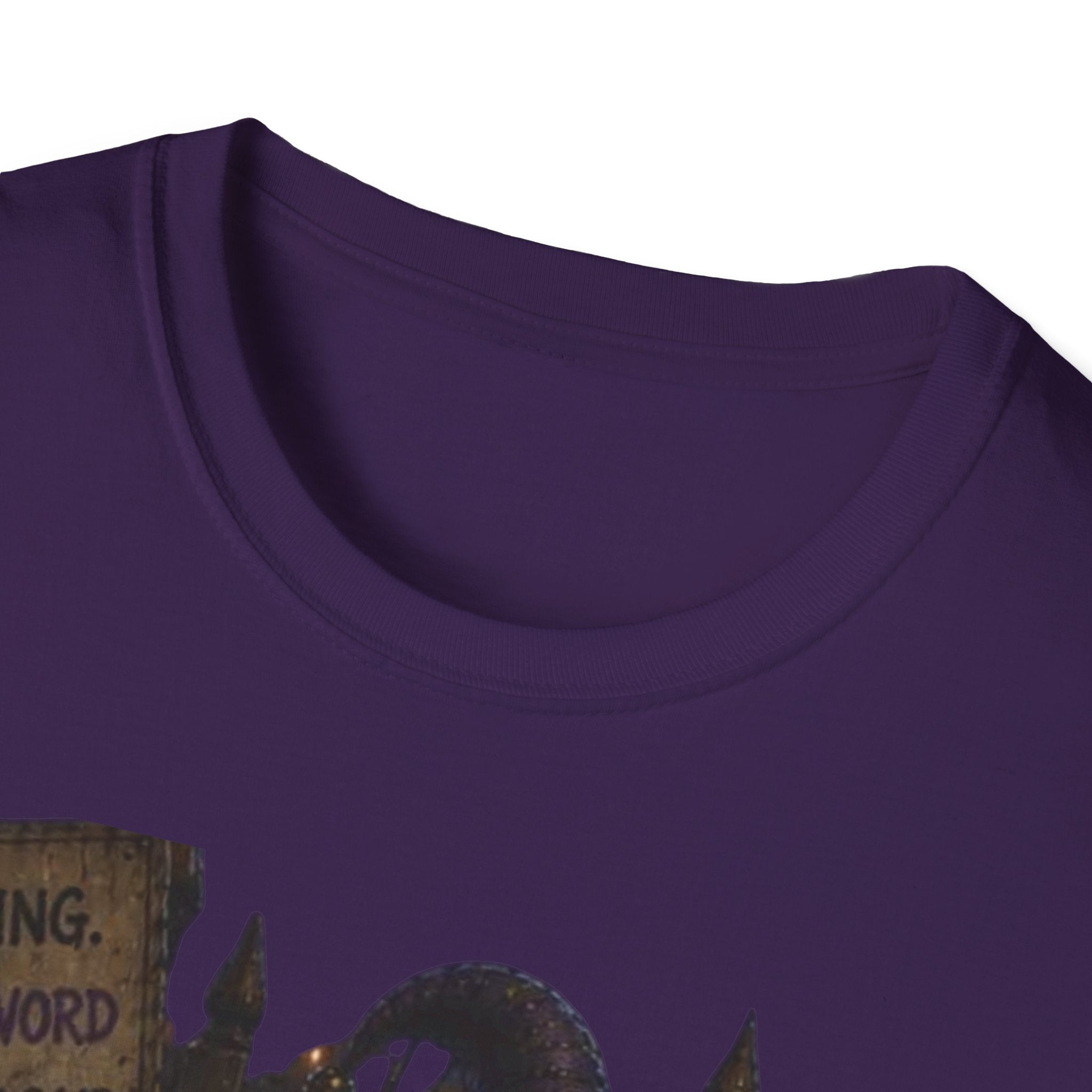 Viking Throne Graphic T-Shirt — "Berserker" Norse Warrior Design