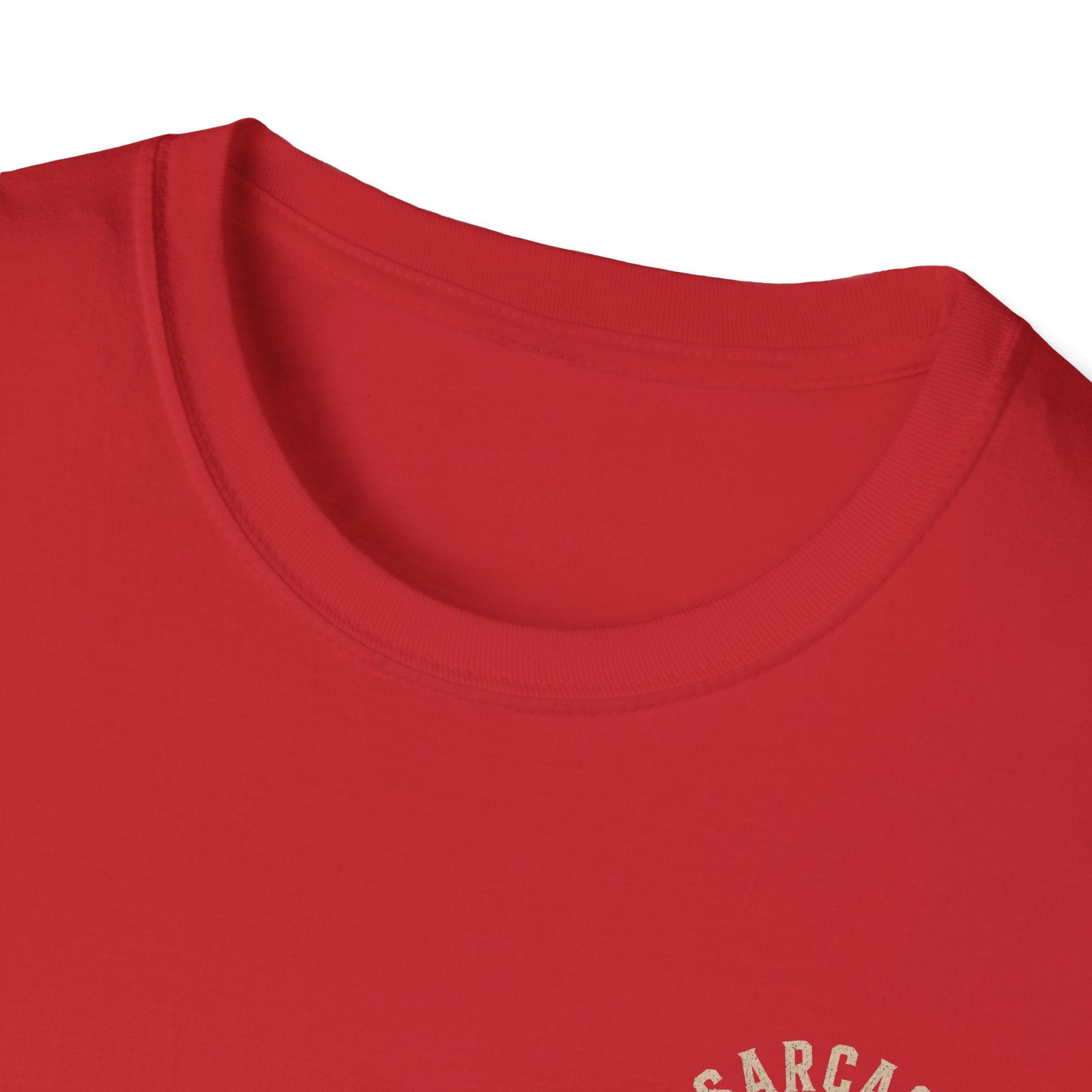 Witch & Pig Vintage Graphic T-Shirt — "Wanna Go for a Ride on My Hog?"